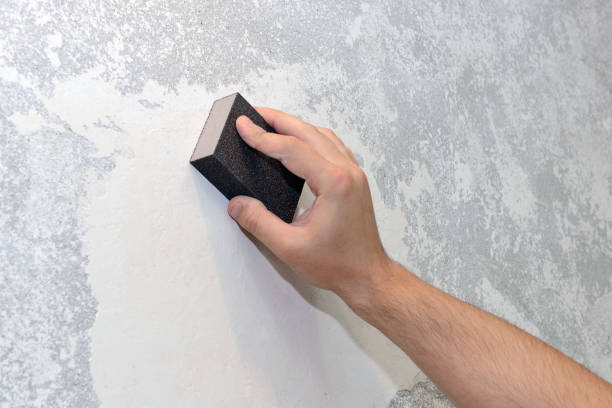 Best Post-Construction Mold Inspection  in , MD