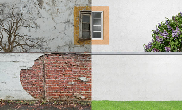Best Comprehensive Air Testing for Mold Contaminants  in , MD